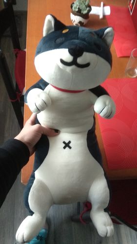 Customer photo review of The Three Smiley Shibas