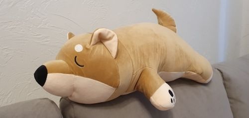 Customer photo review of The Sleepy Shiba