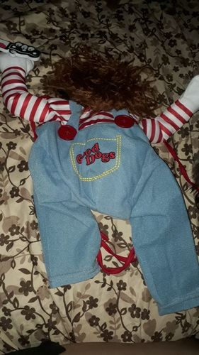 Customer photo review of Shiba Inu Halloween Costume