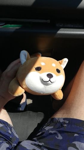Customer photo review of Kawaii Shiba Inu Plush