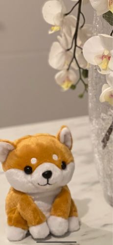 Customer photo review of Kenji the talking shiba inu toy