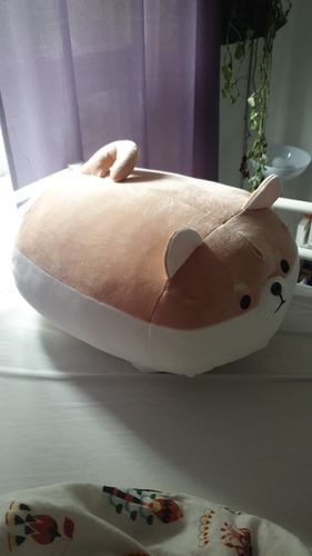 Customer photo review of Chonky Angery Boi The Angry Shiba Pillow