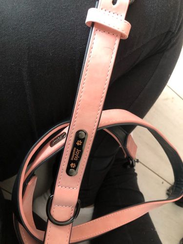 Customer photo review of Personalized Shiba Collar and Leash