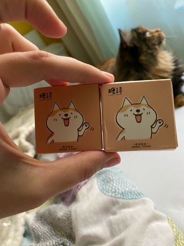 Customer photo review of Shiba Inu Stickers