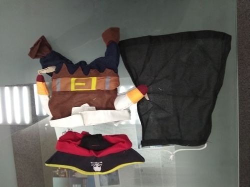 Customer photo review of Shiba Inu Pirate Costume