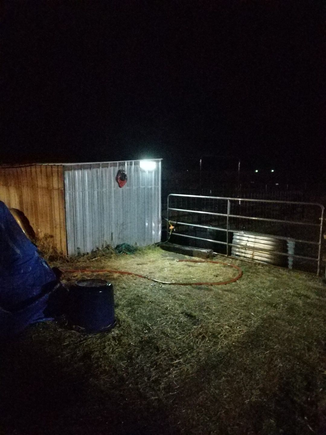 Customer photo review of 118 LED Solar Light 1000 Lumens