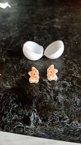 Customer photo review of Shiba Inu Acrylic Earring