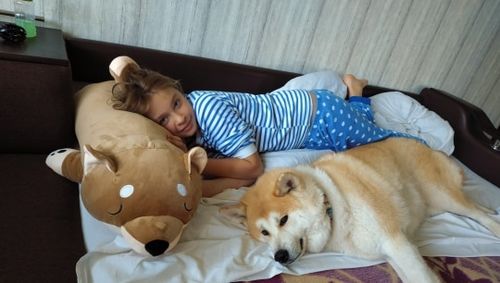 Customer photo review of The Sleepy Shiba