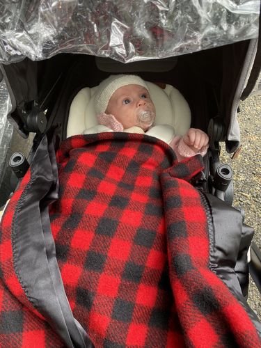 Customer photo review of Oscar Mx Newborn Insert Cushion