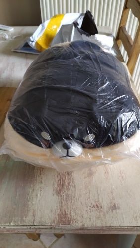 Customer photo review of Chonky Angery Boi The Angry Shiba Pillow