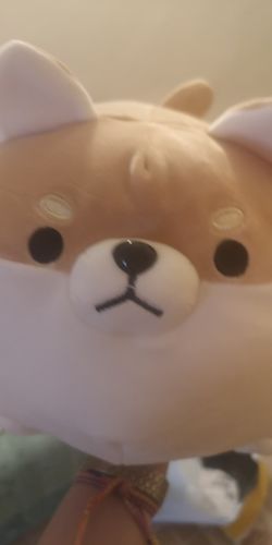 Customer photo review of Chonky Angery Boi The Angry Shiba Pillow