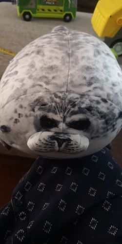Customer photo review of Henry the Chonky Seal Pillow