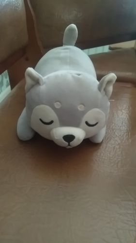 Customer photo review of Kawaii Shiba Inu Plush