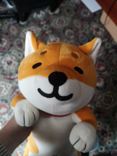 Customer photo review of The Three Smiley Shibas