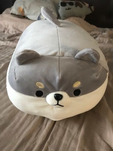 Customer photo review of Chonky Angery Boi The Angry Shiba Pillow