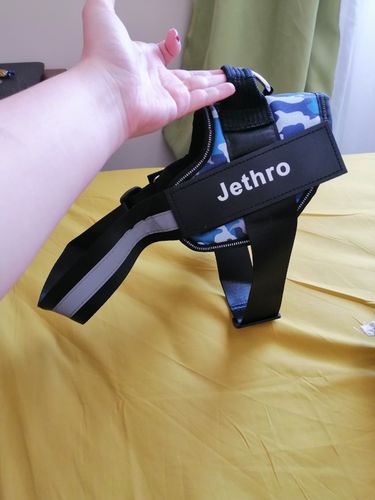 Customer photo review of Shiba Inu Personalized Harness