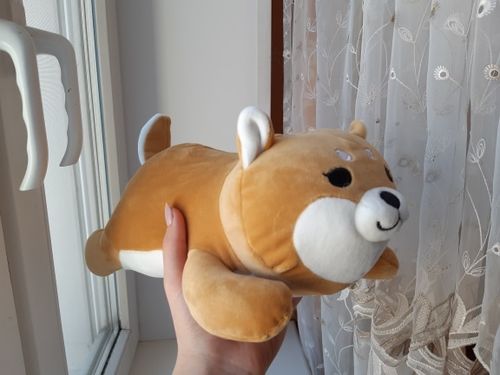 Customer photo review of Kawaii Shiba Inu Plush