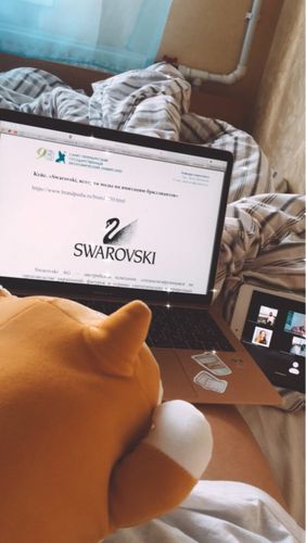 Customer photo review of Happy Shiba