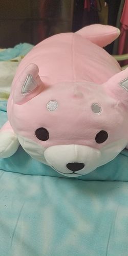 Customer photo review of Happy Shiba