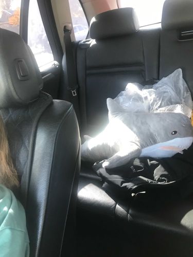 Customer photo review of Jawzo - Kawaii Shark Plush