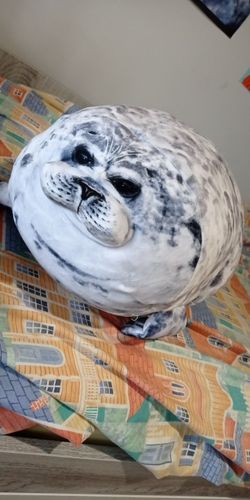 Customer photo review of Henry the Chonky Seal Pillow