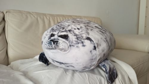 Customer photo review of Henry the Chonky Seal Pillow