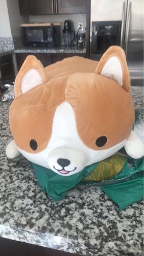 Customer photo review of Corgi Plushie