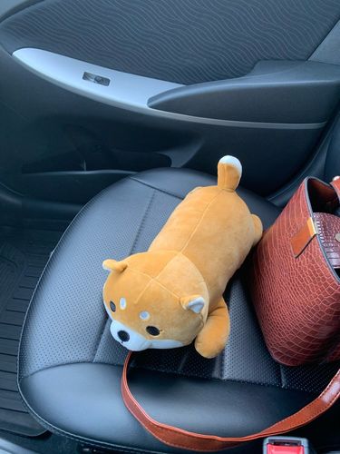 Customer photo review of Kawaii Shiba Inu Plush