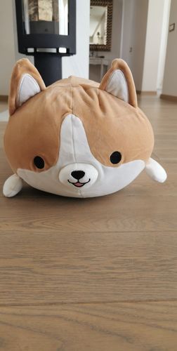 Customer photo review of Corgi Plushie