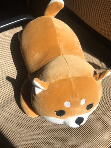 Customer photo review of Kawaii Shiba Inu Plush