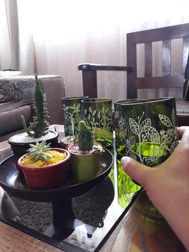 Customer photo review of Reforestemos