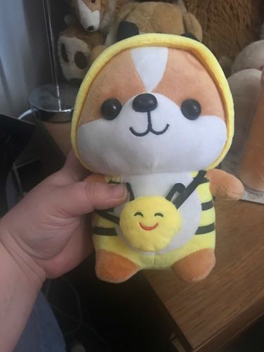 Customer photo review of Shiba Squad