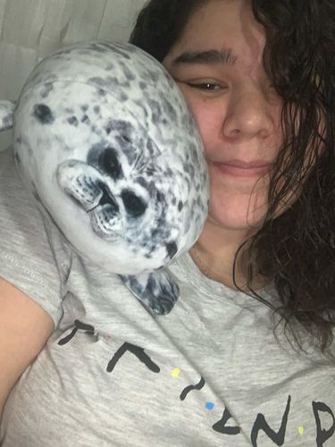 Customer photo review of Henry the Chonky Seal Pillow