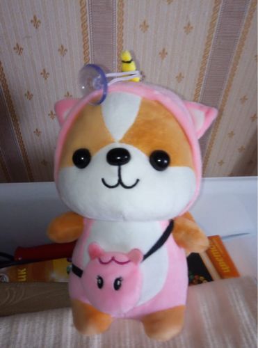 Customer photo review of Shiba Squad