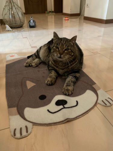 Customer photo review of Shiba Inu Mat