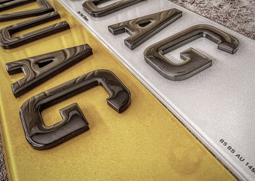 Customer photo review of 4D Show Plates