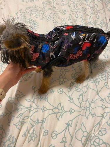 Customer photo review of Petyfy™ Dog Vest for Small Dogs
