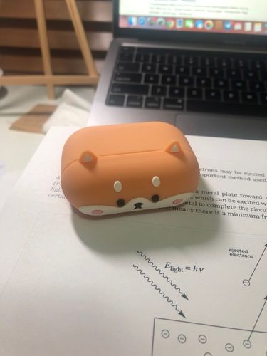 Customer photo review of Shiba Inu Airpods Case