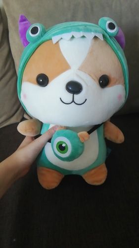 Customer photo review of Shiba Squad