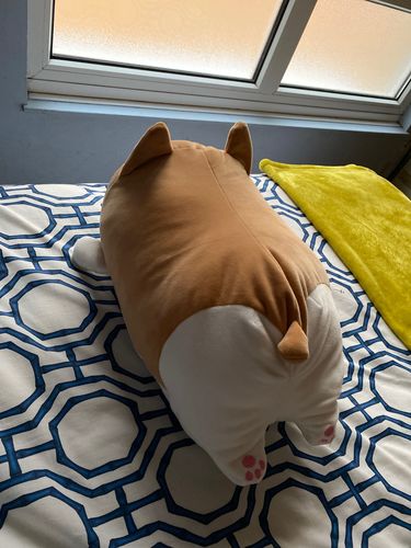 Customer photo review of Corgi Plushie