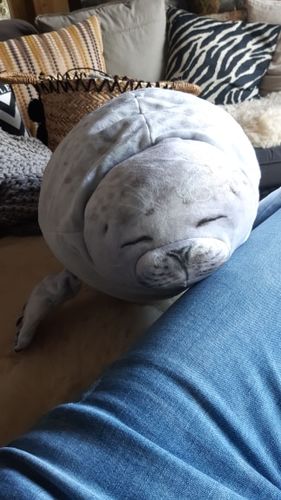 Customer photo review of Dave the Sleepy Seal Pillow