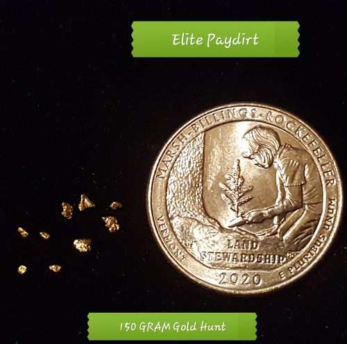 Customer photo review of '150 GRAM GOLD HUNT' - ELITE Gold Paydirt Panning Concentrates