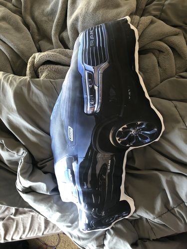 Customer photo review of Create A Custom Car Pillow