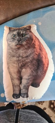 Customer photo review of Personalisiertes Katzenkissen™