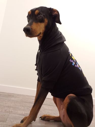 Customer photo review of Anti Social Dog Hoodie - Black