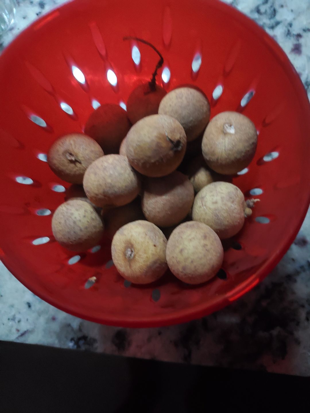 Customer photo review of Longan Box