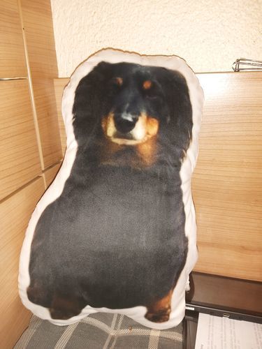 Customer photo review of Personalisiertes Hundekissen™