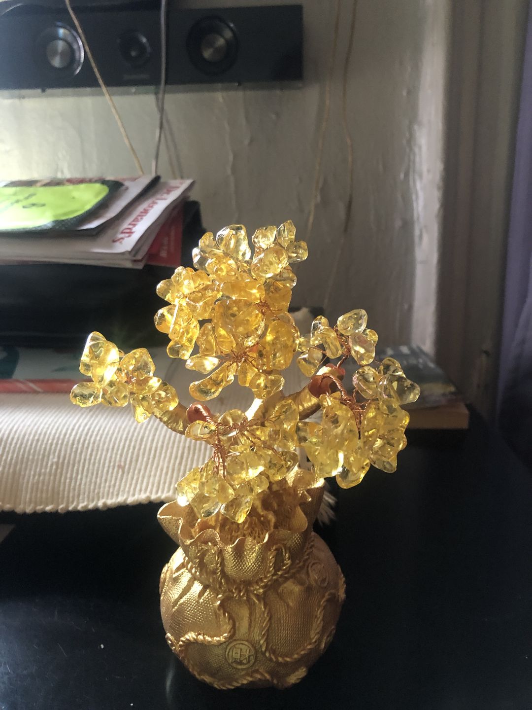 Customer photo review of Feng Shui Citrine Money Tree Wealth Ornaments