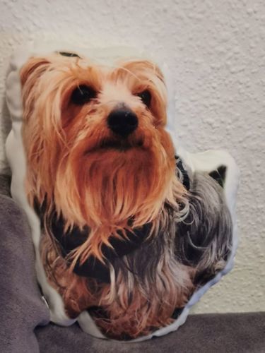 Customer photo review of Personalisiertes Hundekissen™