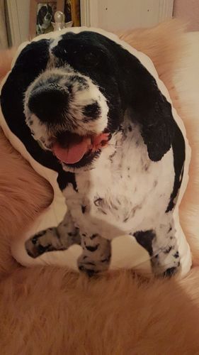 Customer photo review of Personalisiertes Hundekissen™